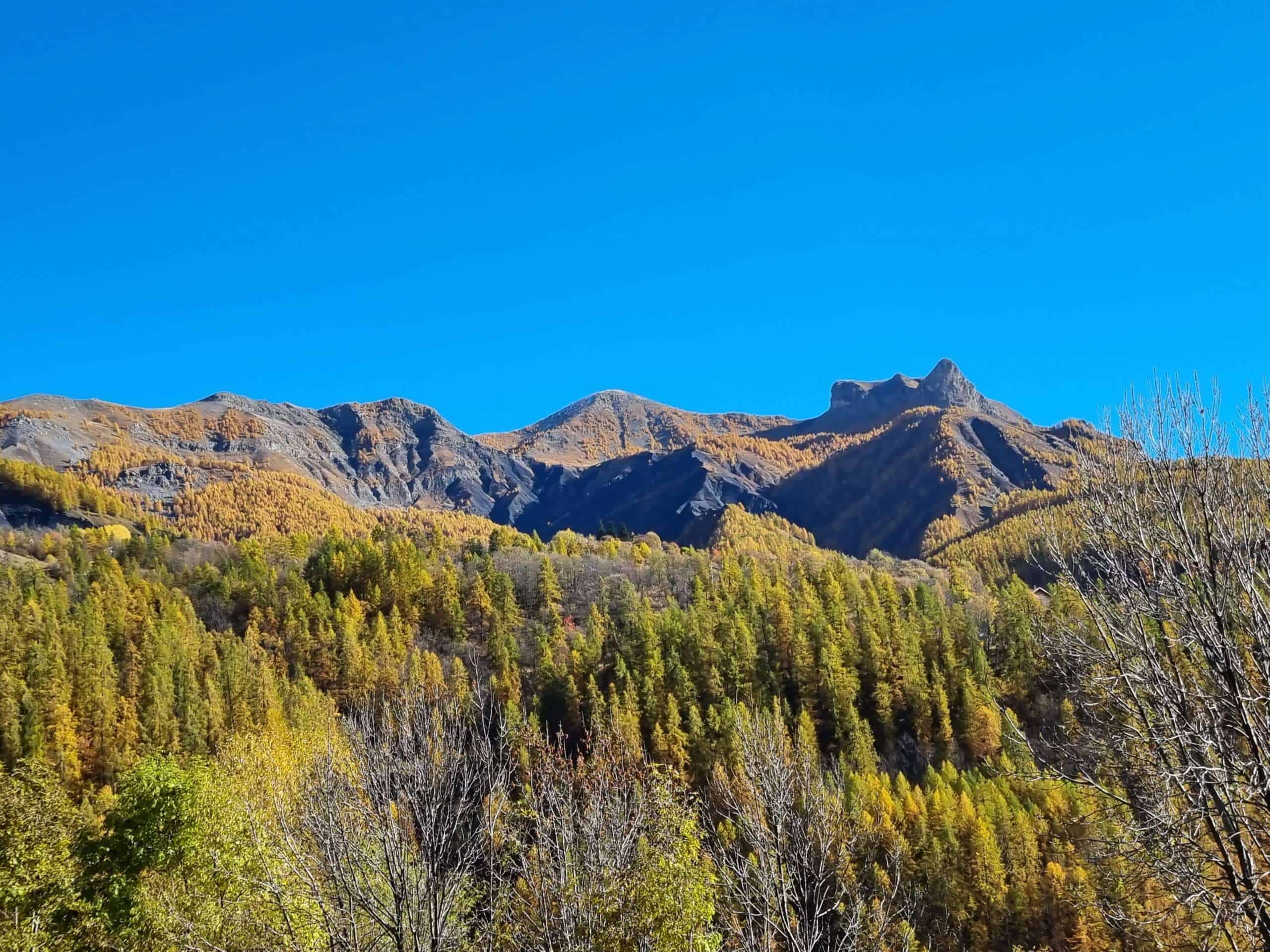 Montagnes et forêt automnale en France