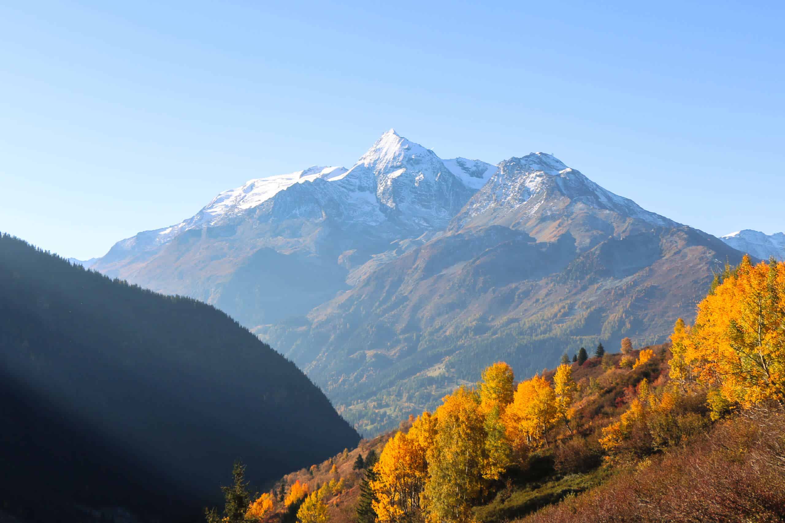 Montagnes enneigées et forêt automnale