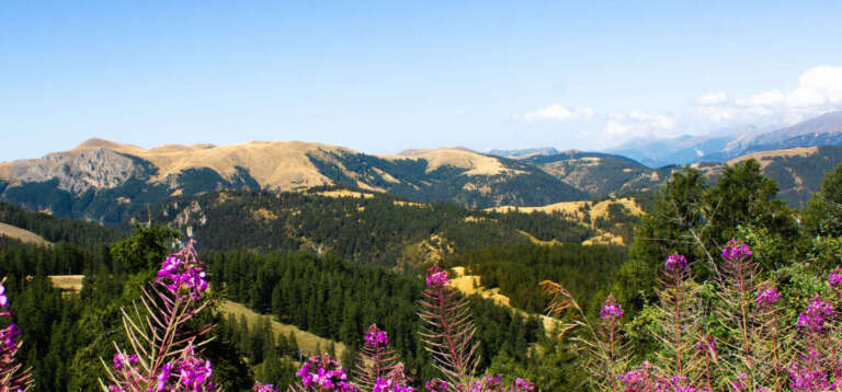 Valberg