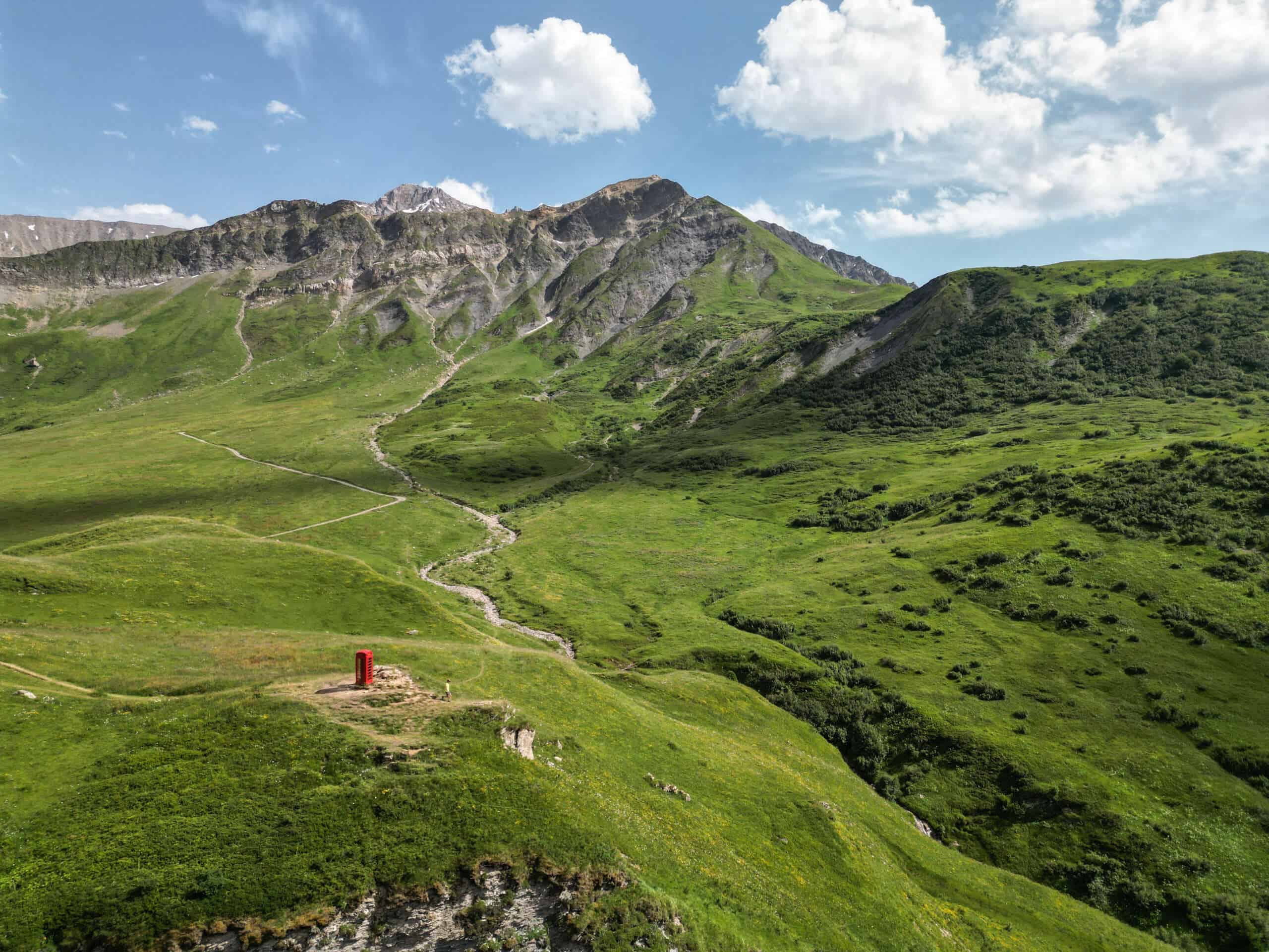 Écosystème montagnard verdoyant et préservé