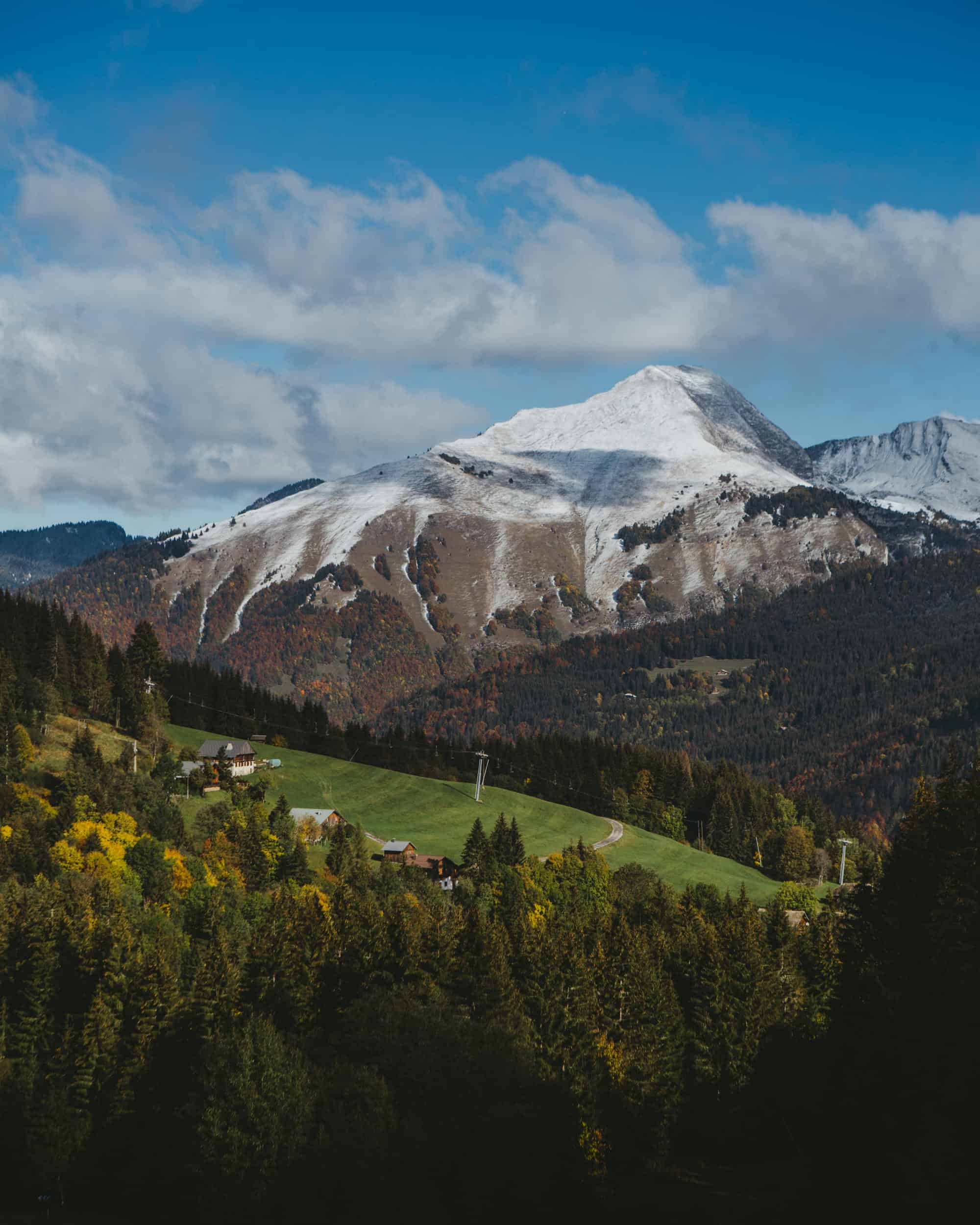 Montagne enneigée dans un paysage forestier